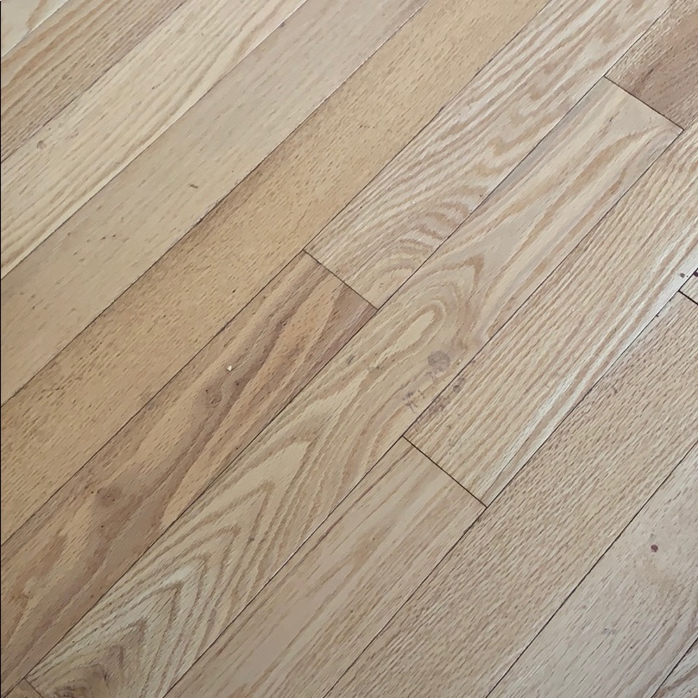 Meet your Posher, Reham